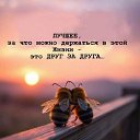  , , 59  -  11  2025    