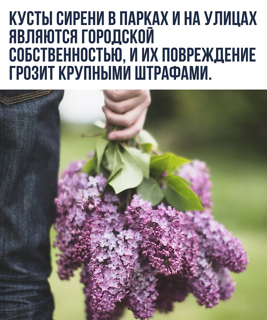       ,      ,    ... - 2
