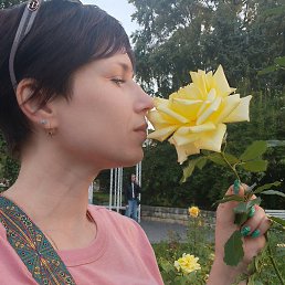 ���������, ���������, 40 ���