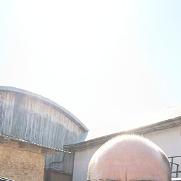 ����, ���, 48 ���