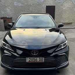 ������ 07071995, �����������, 31 ���