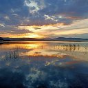 ���� Yelena, ���������, 49 ��� - ��������� 25 ���� 2025 � ������ ������ ��������