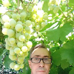 , 53, 