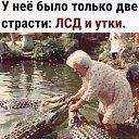 ���� ����, ������-��-���� - ��������� 2 �������� 2025 � ������ �������