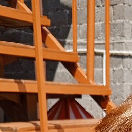 �������, �����, 47 ���