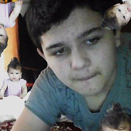 Kemal, �����������, 20 ���