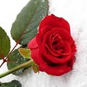 ���� ������, �����-��������� - ��������� 23 ������� 2024 � ������ ������ ��������
