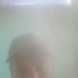 , 37, 