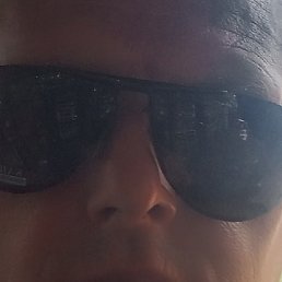 ������, ������, 44 ����