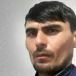 �����, ������ ��������, 37 ���