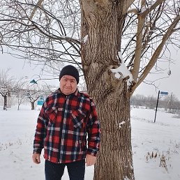 �������, �����, 66 ���