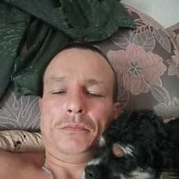, 37, 
