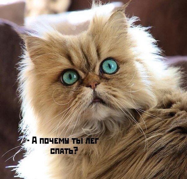       - 16  2025  21:18 - 3