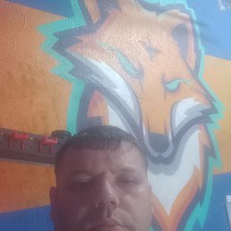 , 37 , 