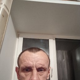 , 41, 