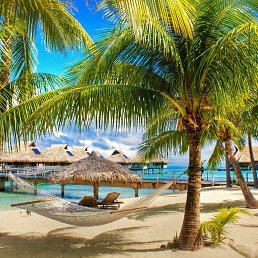 ���� �����, �����������, 31 ��� - ��������� 11 ����� 2026