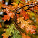 ���� ������, ������ - ��������� 5 ������� 2025 � ������ ���� ����������