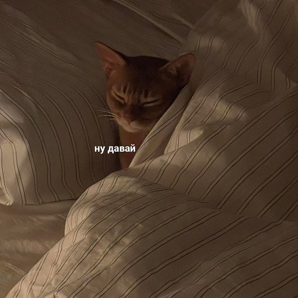 ,  ,        - 2