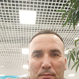 , 41, 