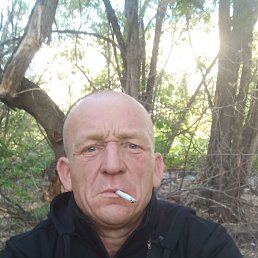 , 43, 
