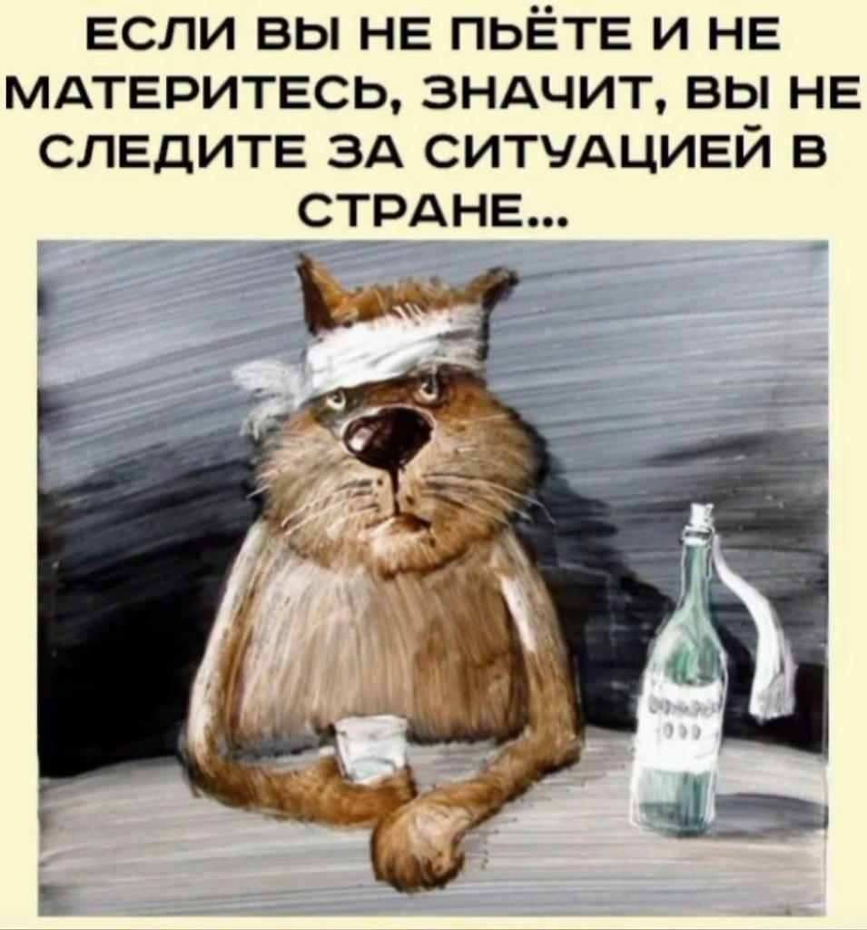  - 21  2025  03:23