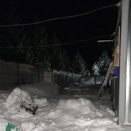 ����, �����������, 36 ���