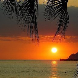 �����, ������, 60 ���