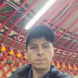 , 37, 