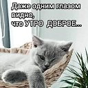 ���� ������� ������, ������� ����, 54 ���� - ��������� 30 ���� 2026