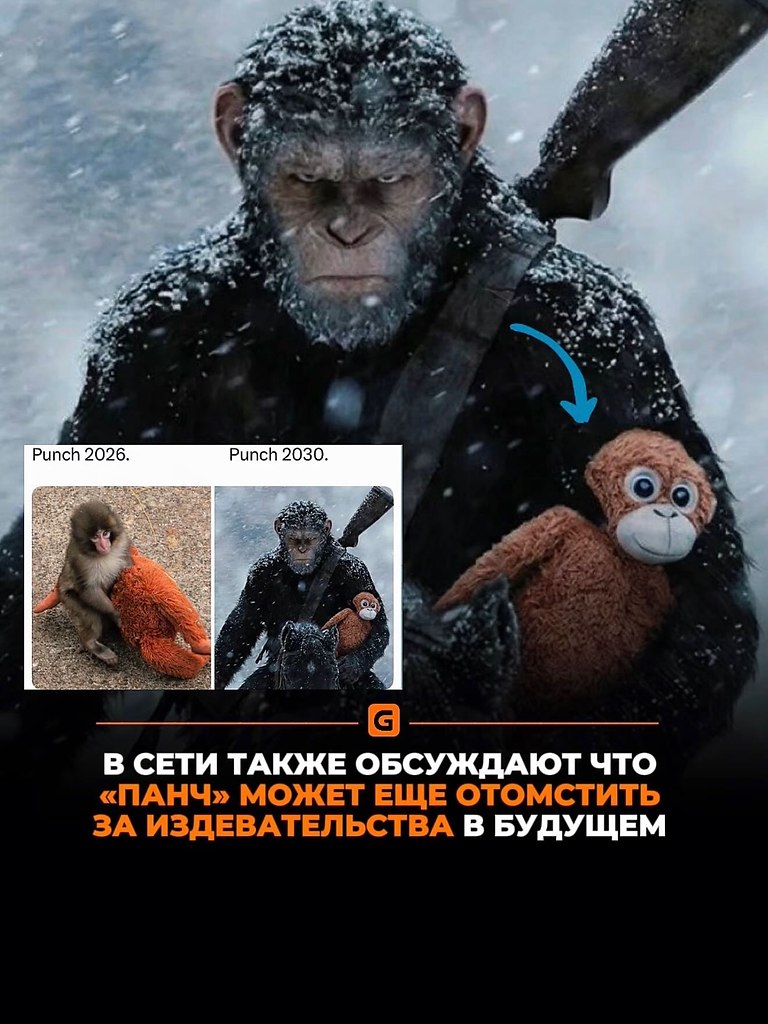 ������� ��������� ������ ����� ���������� ����� �� ���� ������. ������ �������� ������ �� �������� ... - 2