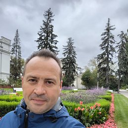 ���� ������, ������, 49 ��� - ��������� 8 ����� 2026