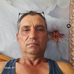 , 58, 