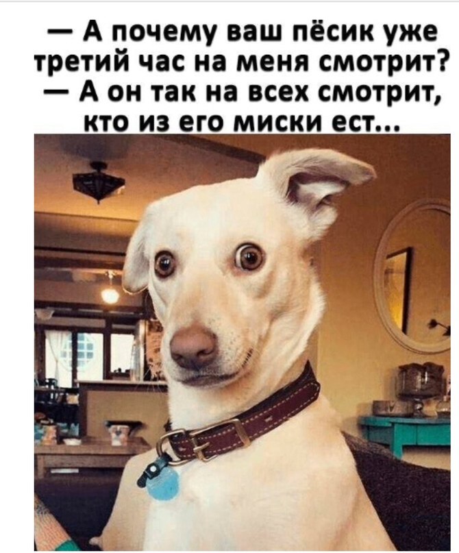  - 22  2024  14:02