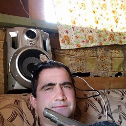 , 37, 