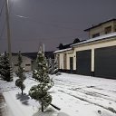 ���� ����, �����, 29 ��� - ��������� 23 ������� 2024 � ������ ���� ����������