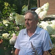 , 77 , 