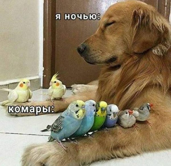  - 28  2025  23:58