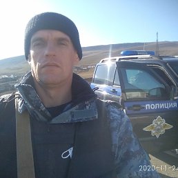 ������, 46 ���, ���������