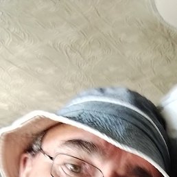 ,  , 51 