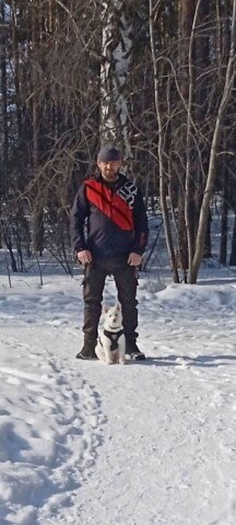 ���� ��������, �����, 40 ��� - ��������� 17 �������� 2025