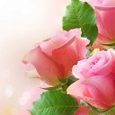 ���� �����, �������, 56 ��� - ��������� 29 ������� 2023 � ������ ���� ����������