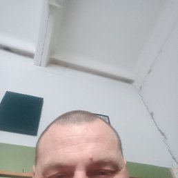 , 43, 
