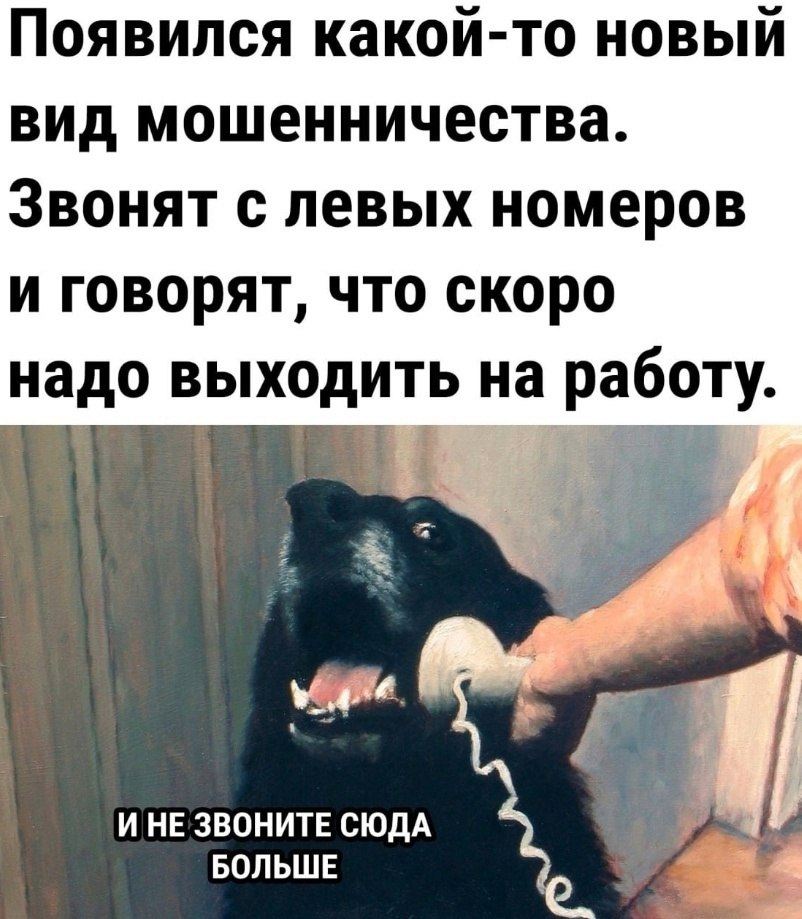   - 8  2025  19:34