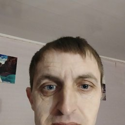 ���� ����, ��������, 36 ��� - ��������� 28 ������� 2026