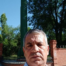 , 54, 