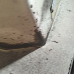 Raj, ����, 22 ����