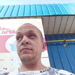 , 41, 