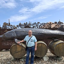, 62, 