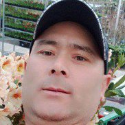 �����, 43 ����, �����������