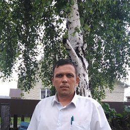 , 43, 
